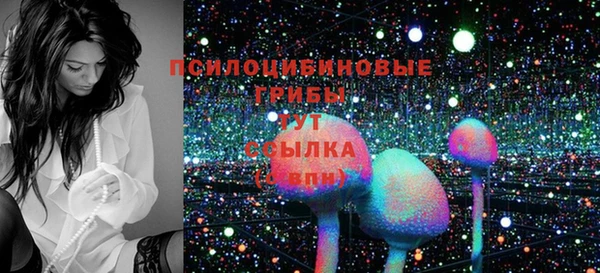 мдпв Богородицк